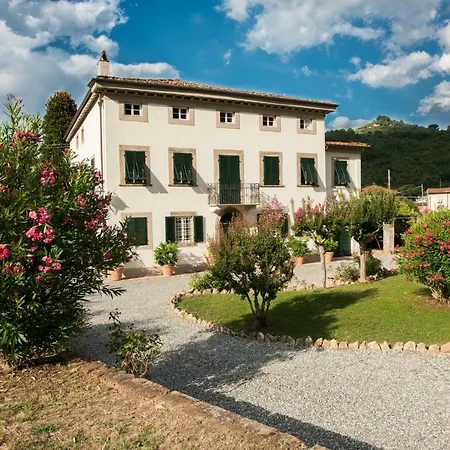 Carrara * Capannori