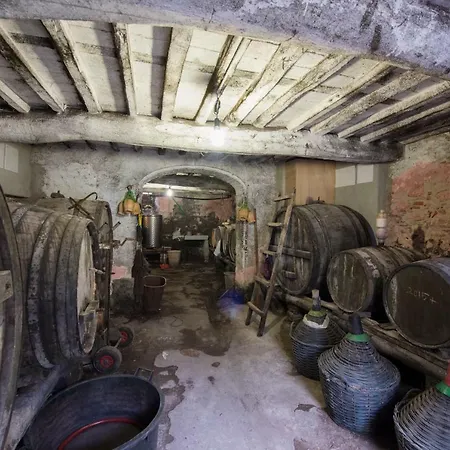 Carrara * Capannori
